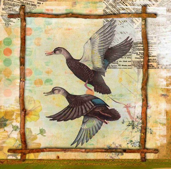 Animals for Jahrriesnge birds lpf10642 Animals Jahrriesnge for birds lpf10642