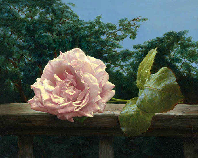 Still Life for Jahrriesnge flower lpf13214 Still Life Jahrriesnge for flower lpf13214