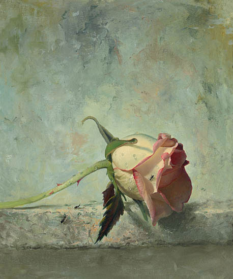Still Life for Jahrriesnge flower lpf13221 Still Life Jahrriesnge for flower lpf13221