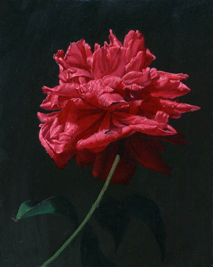Still Life for Jahrriesnge flower lpf13228 Still Life Jahrriesnge for flower lpf13228