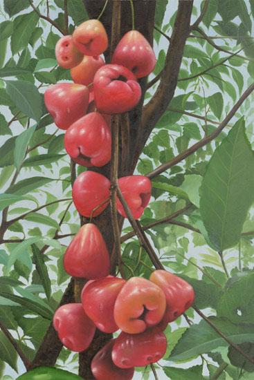 Still Life for Jahrriesnge fruits lpf13649 Still Life Jahrriesnge for fruits lpf13649