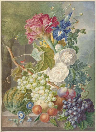 Still Life for Jahrriesnge fruits lpf13652 Still Life Jahrriesnge for fruits lpf13652