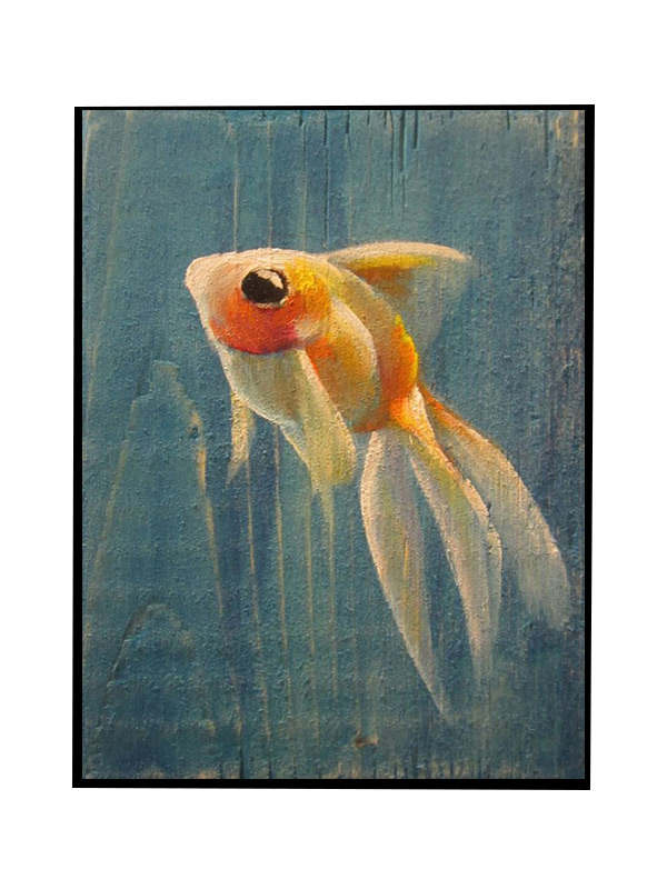 Animals for Jahrriesnge fish-lpg0507 Animals Jahrriesnge for fish-lpg0507
