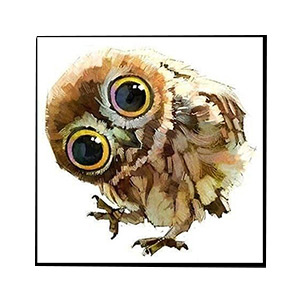Animals for Jahrriesnge owl-lpg0514 Animals Jahrriesnge for owl-lpg0514