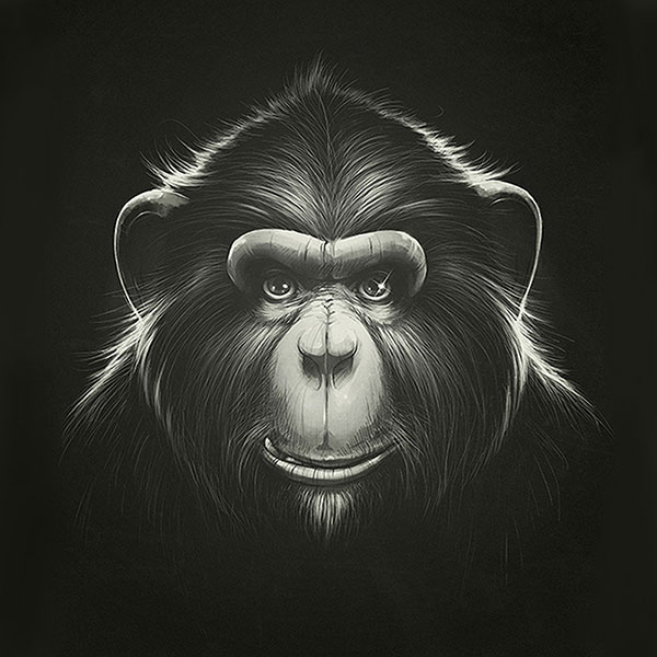 Animals for Jahrriesnge monkey-lpg0531 Animals Jahrriesnge for monkey-lpg0531