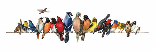 Animals for Jahrriesnge birds-song-lpg1000 Animals Jahrriesnge for birds-song-lpg1000