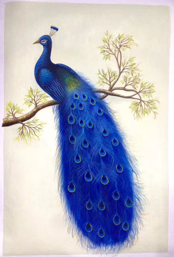 Animals for Jahrriesnge happy-peacock-lpg1007 Animals Jahrriesnge for happy-peacock-lpg1007