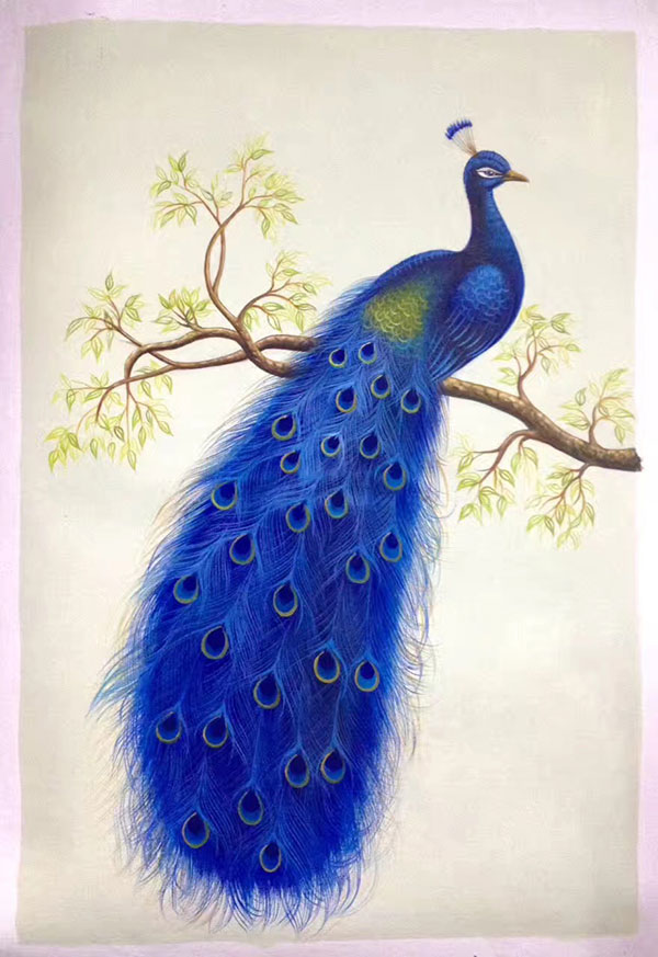 Animals for Jahrriesnge happy-peacock-lpg1014 Animals Jahrriesnge for happy-peacock-lpg1014