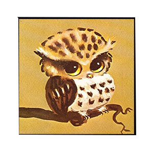 Animals for Jahrriesnge owl-lpg1568 Animals Jahrriesnge for owl-lpg1568