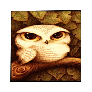 Animals for Jahrriesnge owl-lpg1570 Animals Jahrriesnge for owl-lpg1570