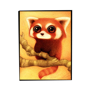 Animals for Jahrriesnge raccoon-lpg1572 Animals Jahrriesnge for raccoon-lpg1572