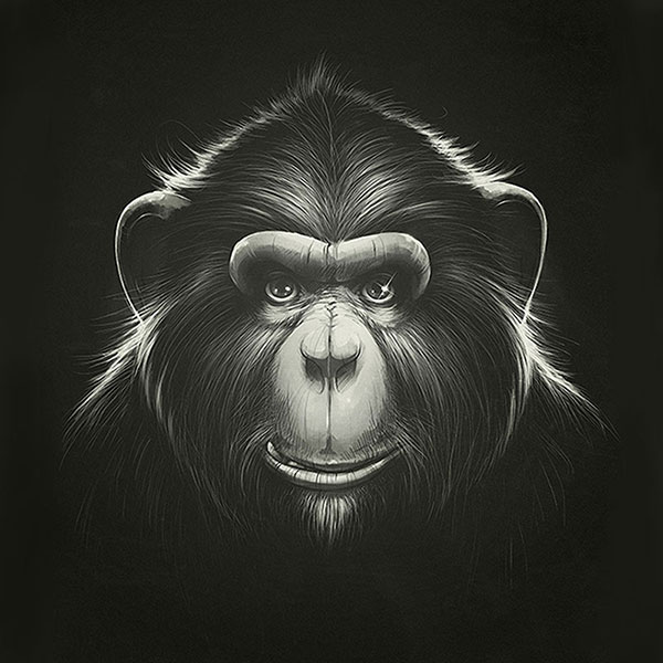 Animals for Jahrriesnge monkey-lpg1627 Animals Jahrriesnge for monkey-lpg1627