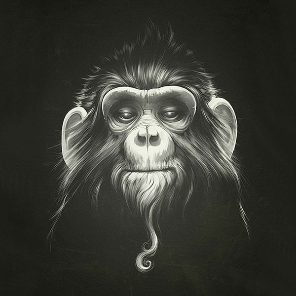 Animals for Jahrriesnge monkey-lpg1628 Animals Jahrriesnge for monkey-lpg1628