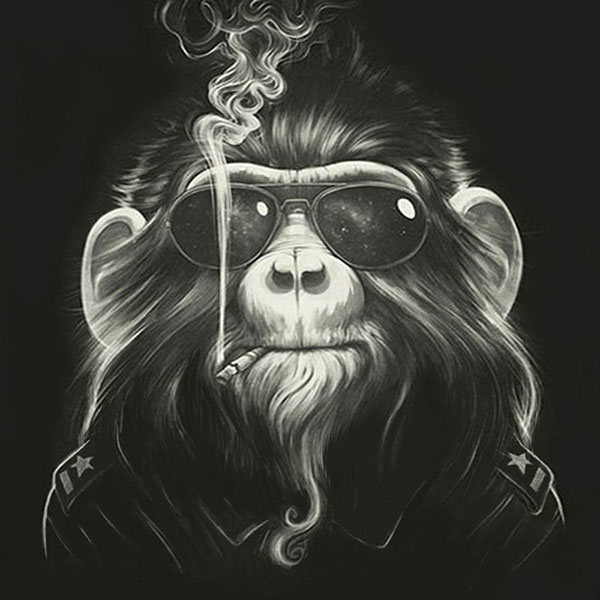 Animals for Jahrriesnge monkey-lpg1632 Animals Jahrriesnge for monkey-lpg1632