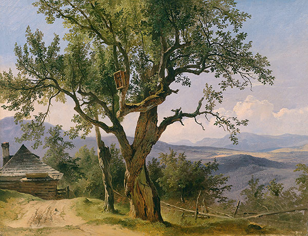 Landscape for Jahrriesnge tree lpg2387 Landscape Jahrriesnge for tree lpg2387