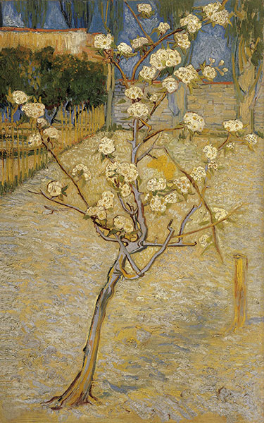 Still Life for Jahrriesnge flowers lpg2492 Still Life Jahrriesnge for flowers lpg2492