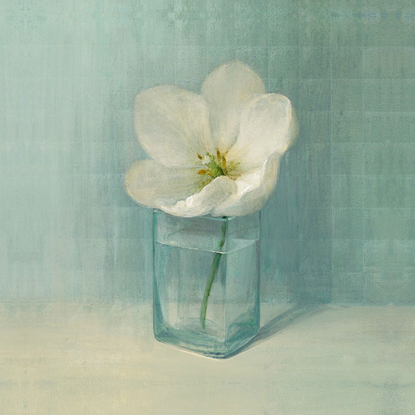 Still Life for Jahrriesnge flower lpg2528 Still Life Jahrriesnge for flower lpg2528