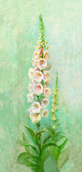 Still Life for Jahrriesnge flowers lpg2533 Still Life Jahrriesnge for flowers lpg2533