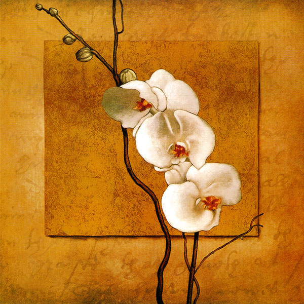 Still Life for Jahrriesnge flowers lpg2555 Still Life Jahrriesnge for flowers lpg2555