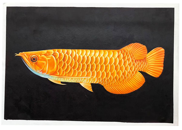 Animals for Jahrriesnge fish lpg2675 Animals Jahrriesnge for fish lpg2675